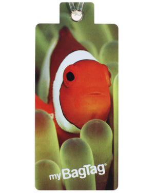 My bag tag Twin pack CLOWN FISH