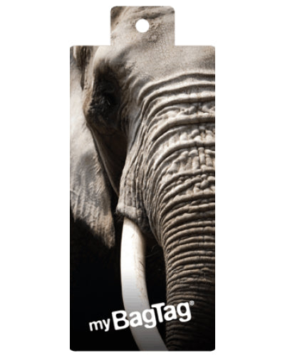 My bag tag Twin pack ELEPHANT