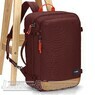 Pacsafe GO Anti-theft 34L Carry-on Backpack 35155345 Garnet Red - 3